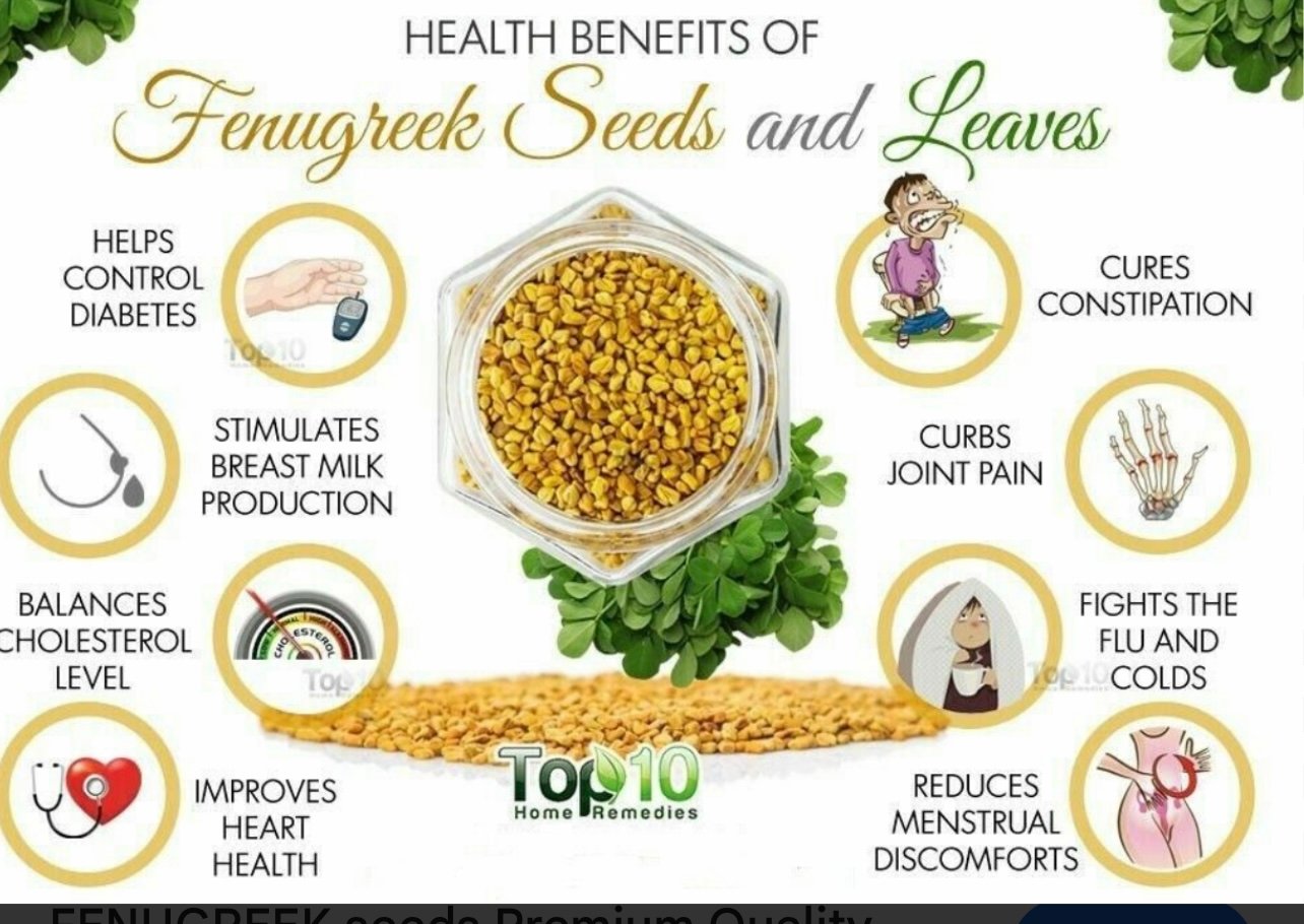 Fenugreek