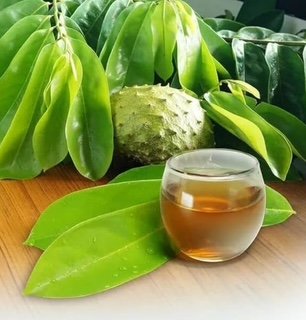 Soursop Fruit (Seasonal)